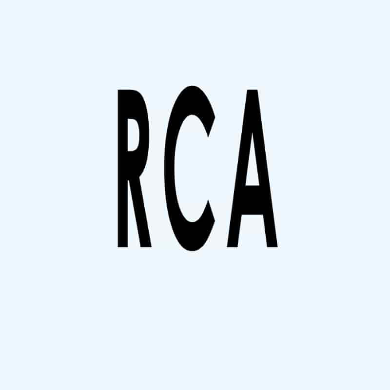 RCA male 2 pol